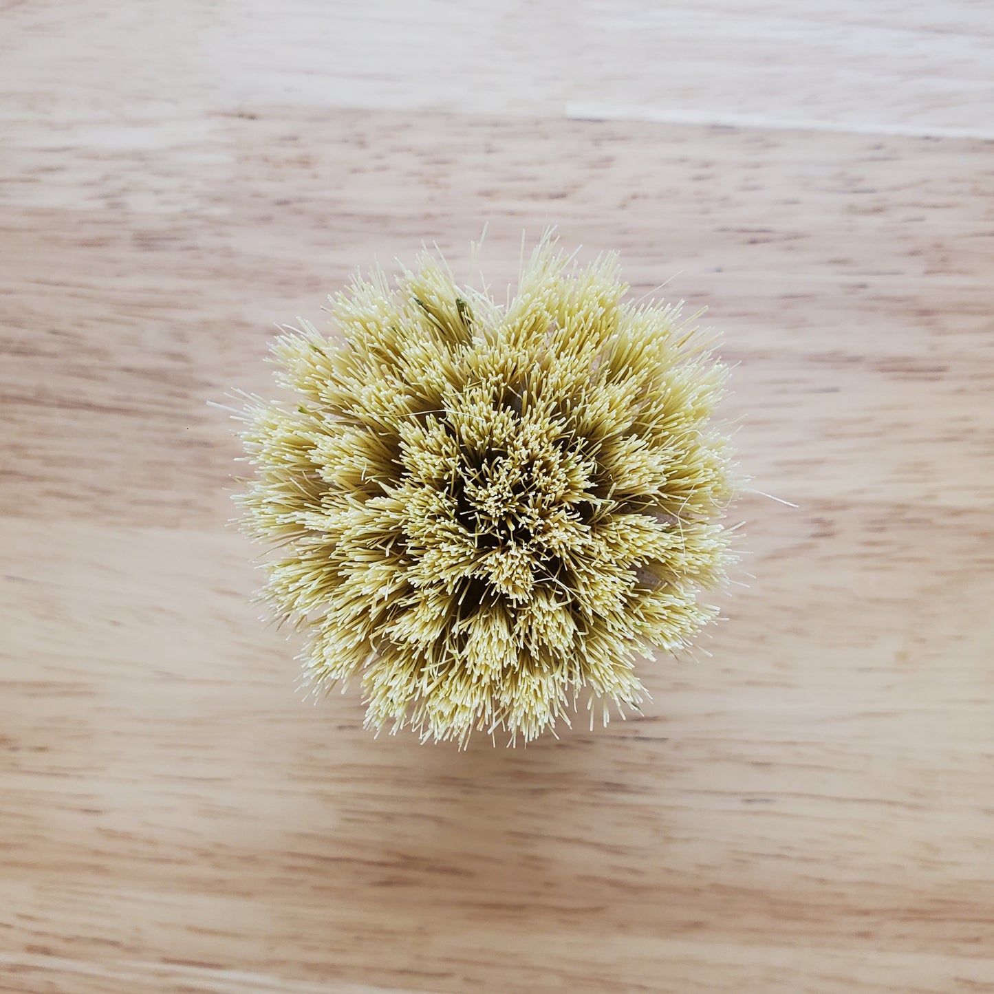 Bamboo Dish Scrubber