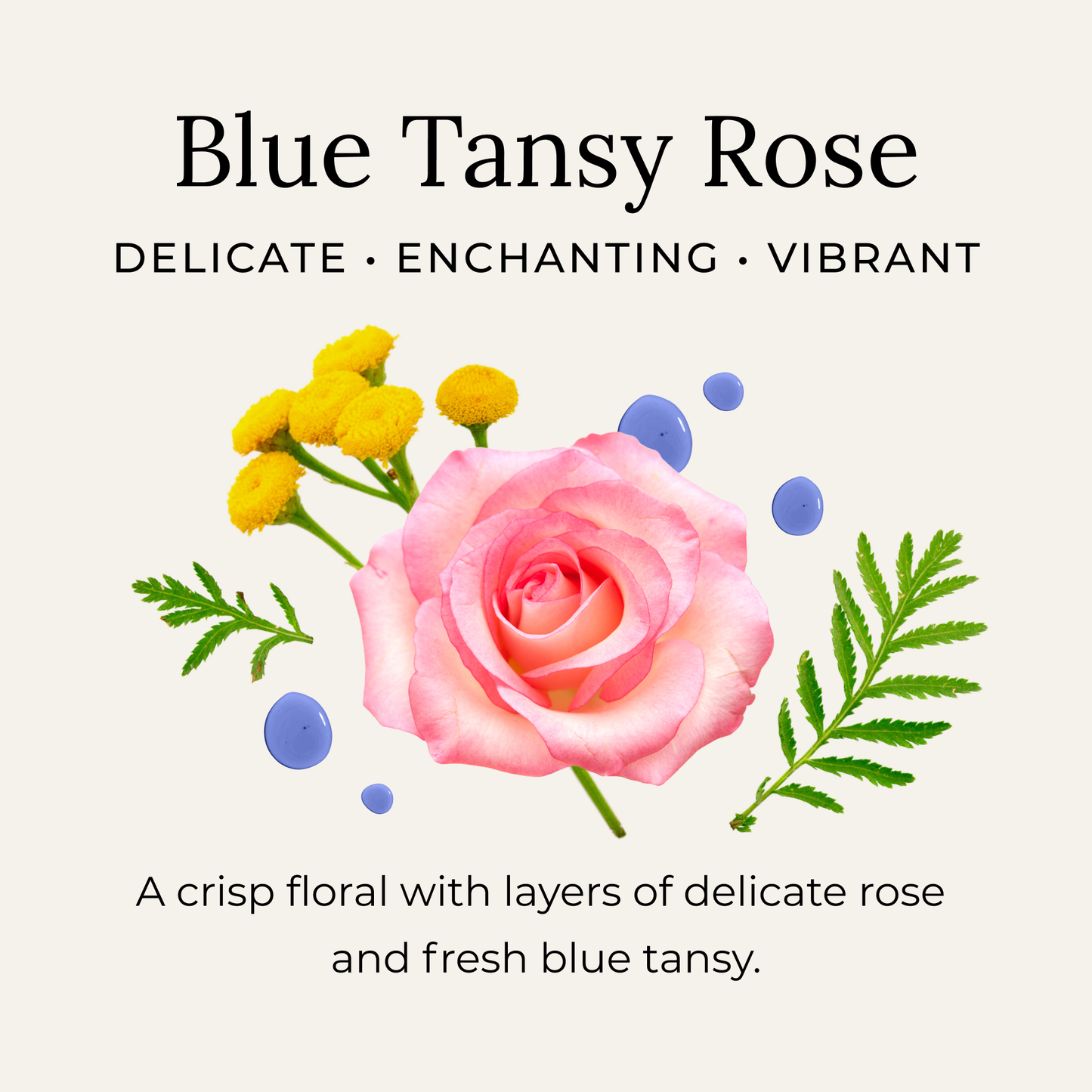Deodorant Cream - Blue Tansy Rose