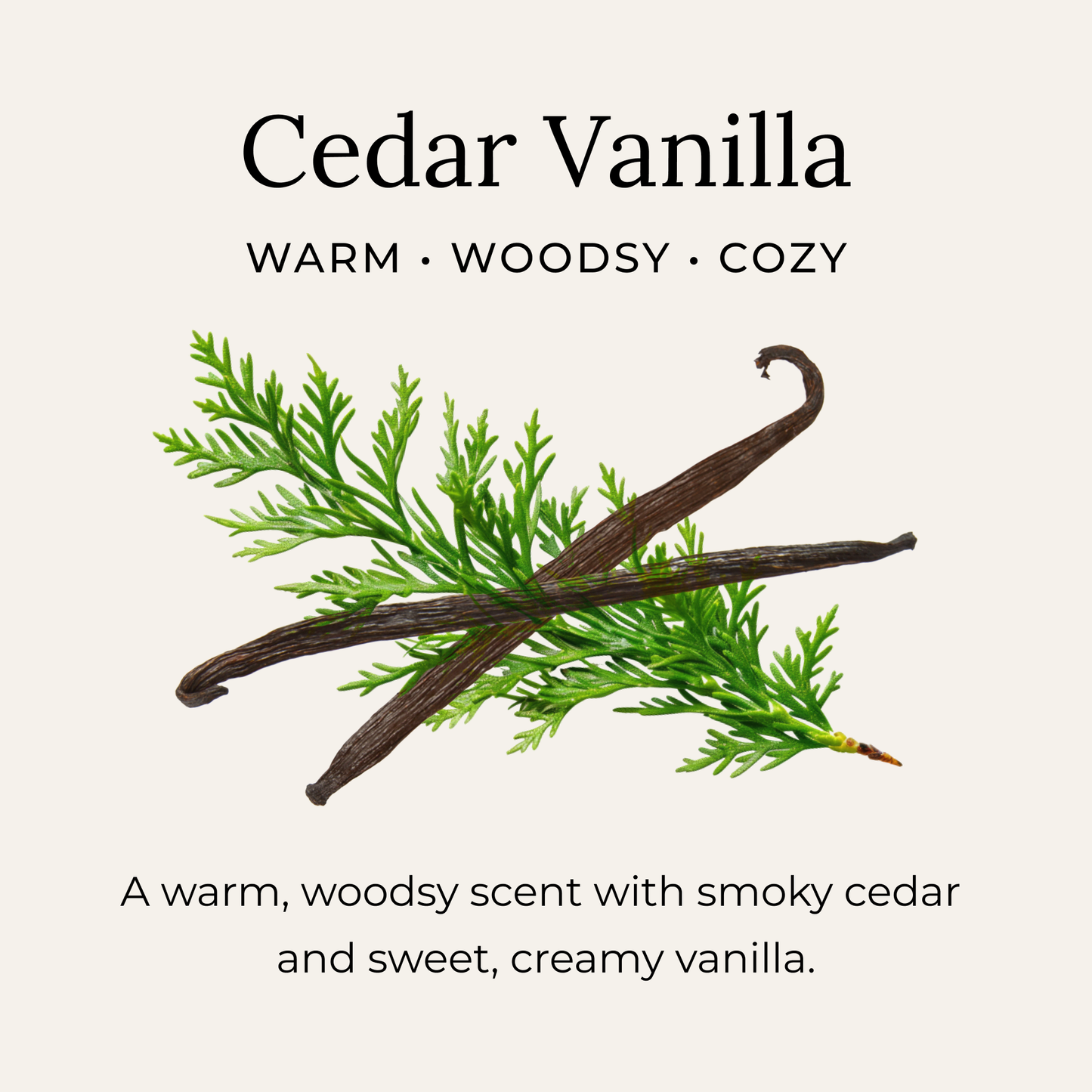 Deodorant Cream - Cedar Vanilla