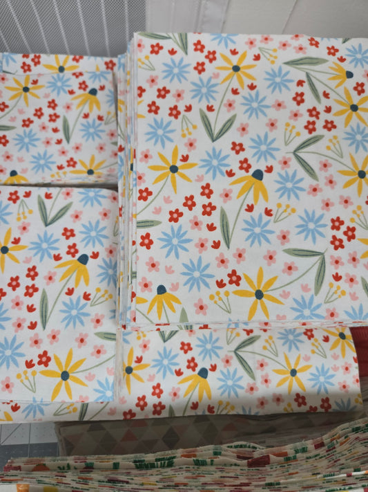 Cloth Napkins | PREORDER Spring Multicolor Floral