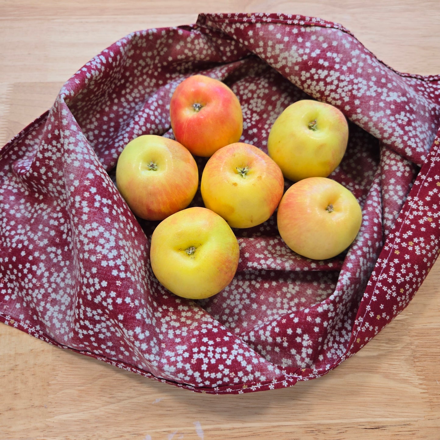 Bento Bag